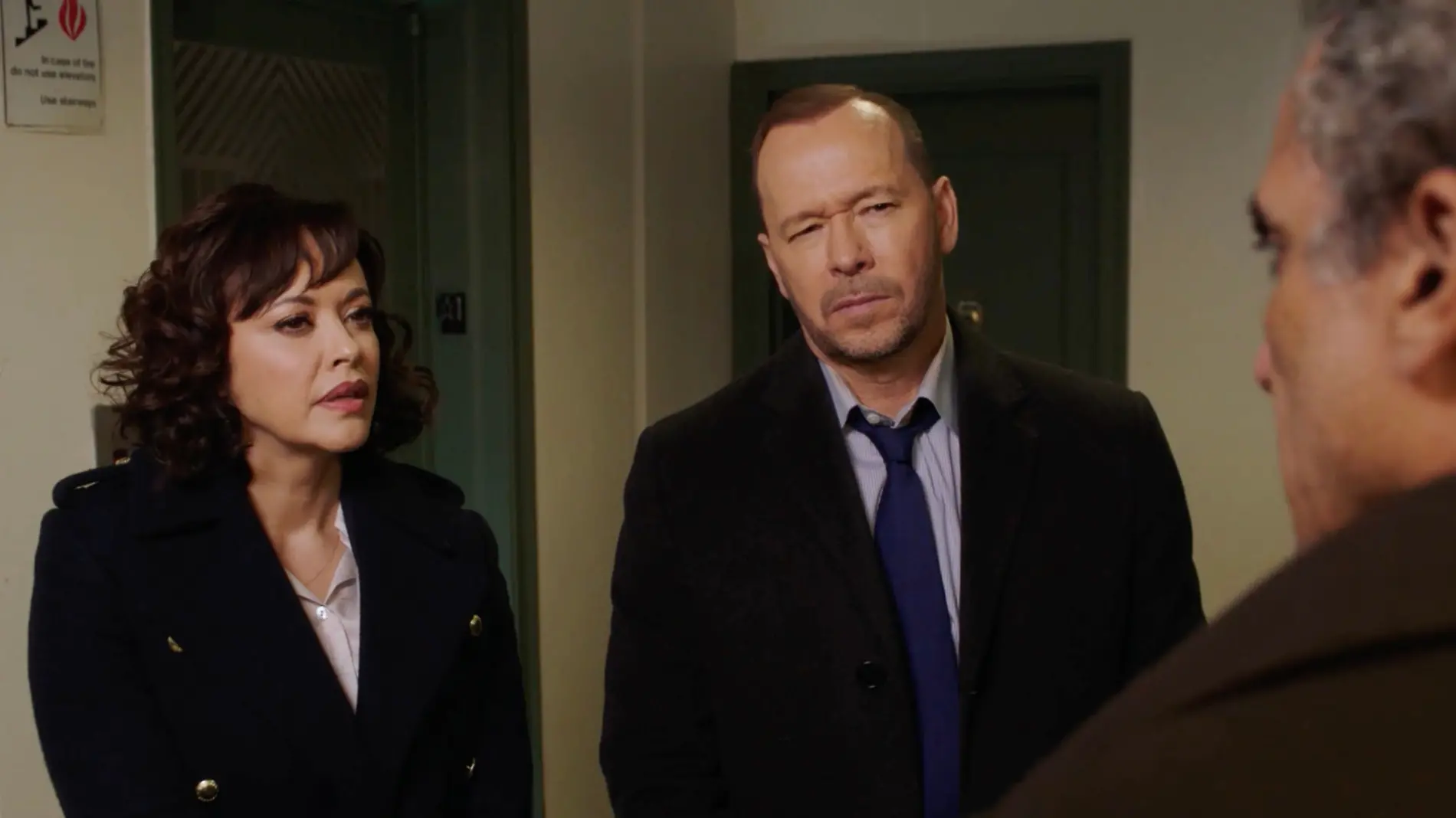 Blue Bloods Marisa Ramirez